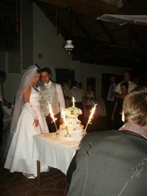 364hochzeitungarnbernimoni2007.jpg